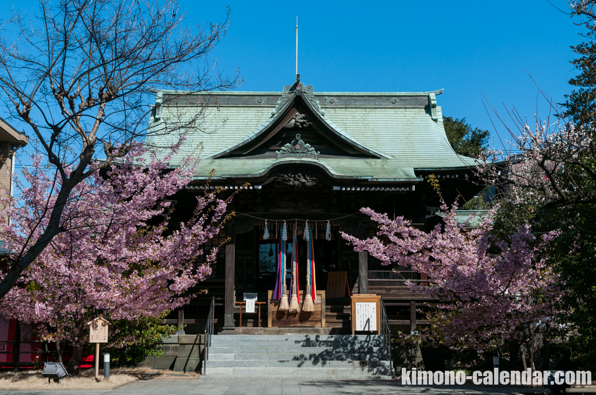 2016年3月1日@桜神宮