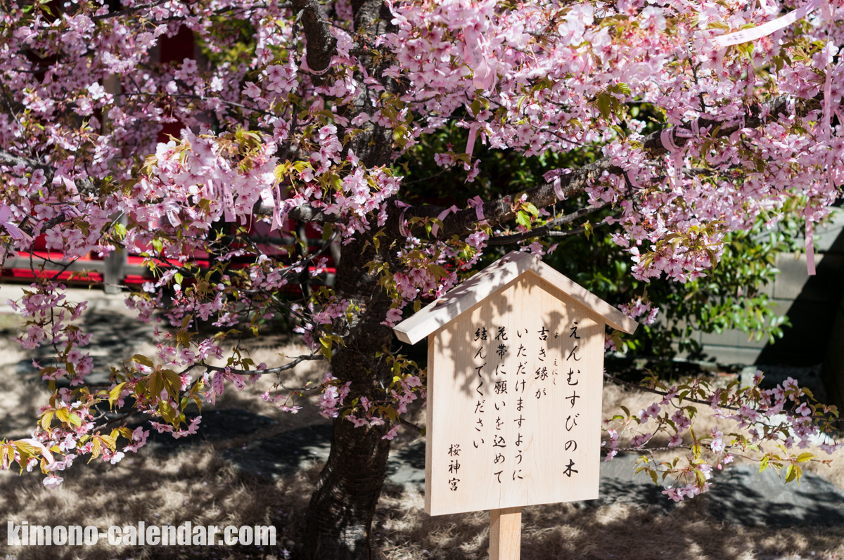 2016年3月1日@桜神宮