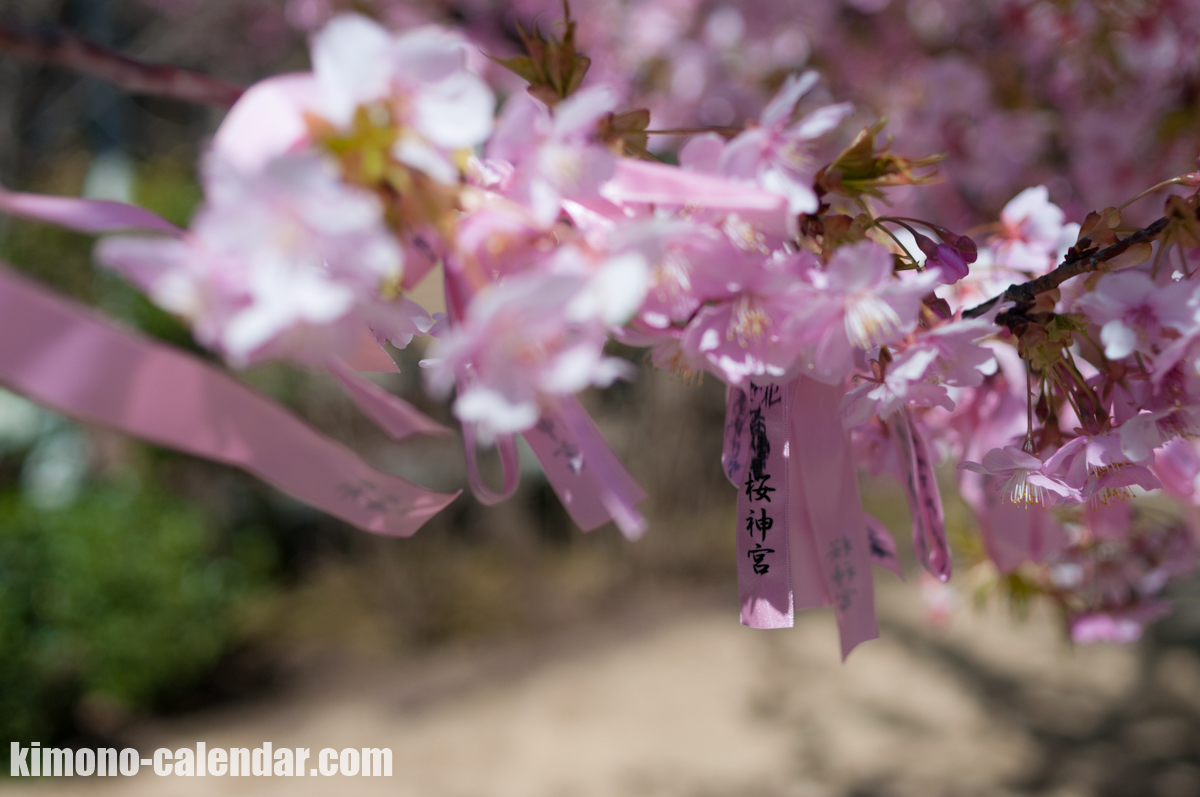 2016年3月1日@桜神宮