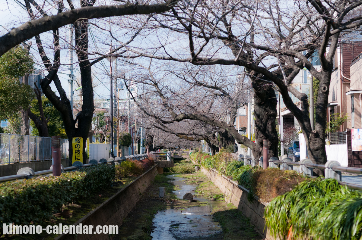 20160302135719300 8564