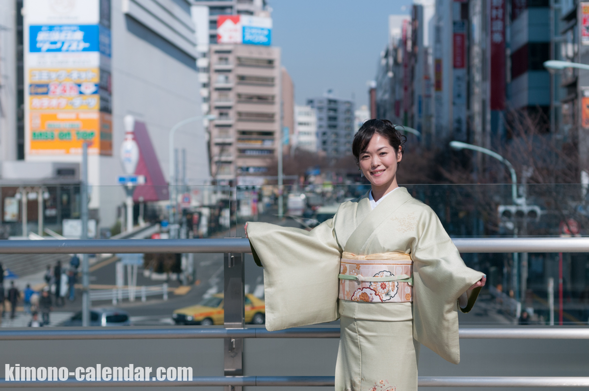 正絹 付け下げ 袋帯 袷