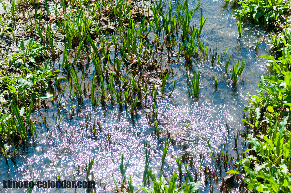 20160315102633300 0001