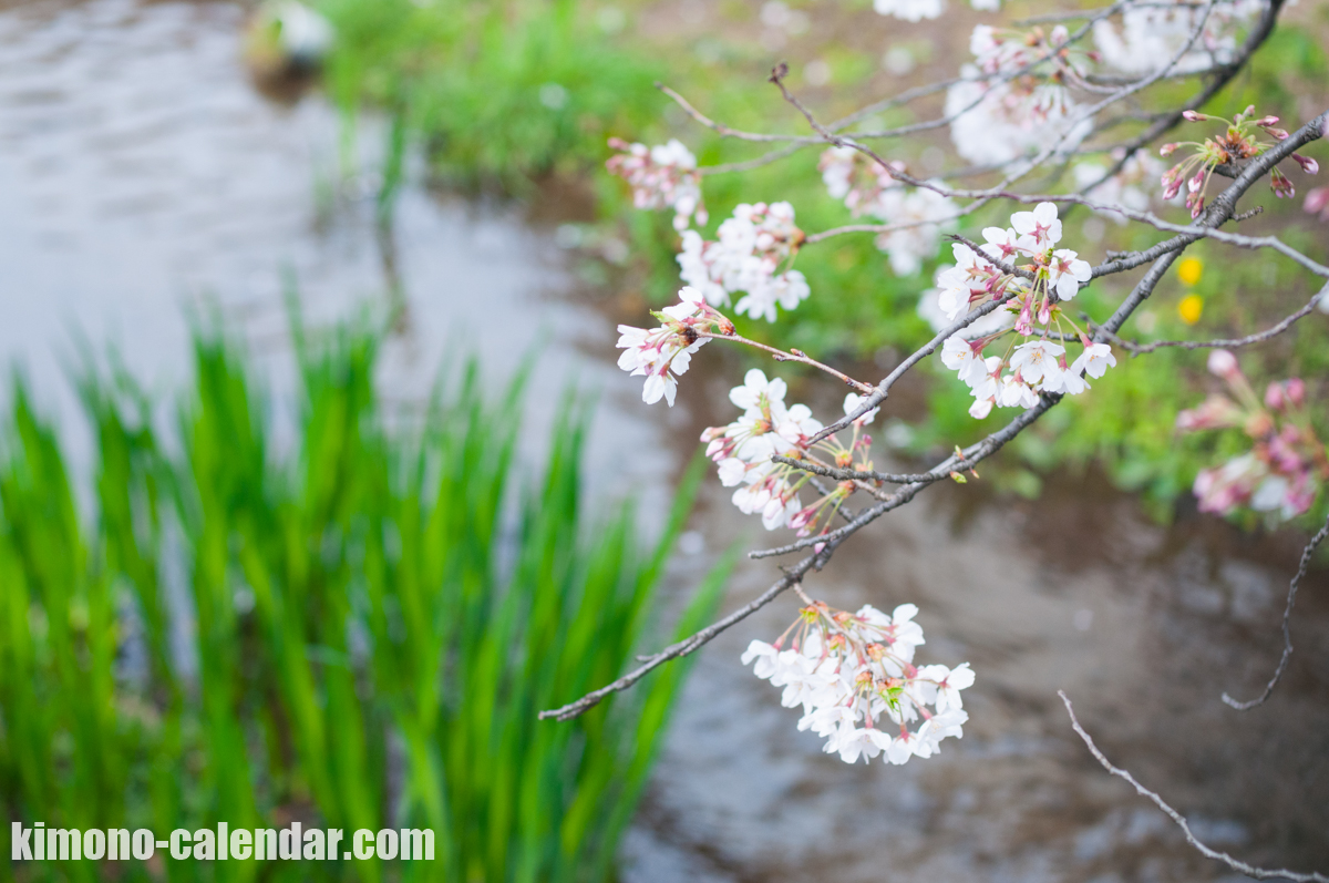 20160330134508300 1961