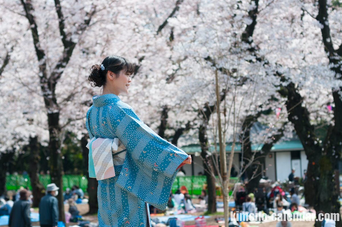2016年3月31日@飛鳥山