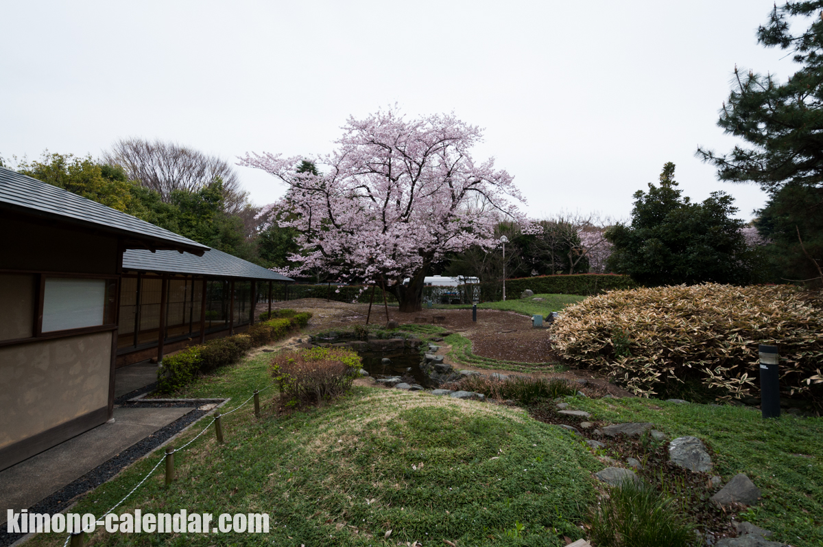 2016年4月2日@桜花亭