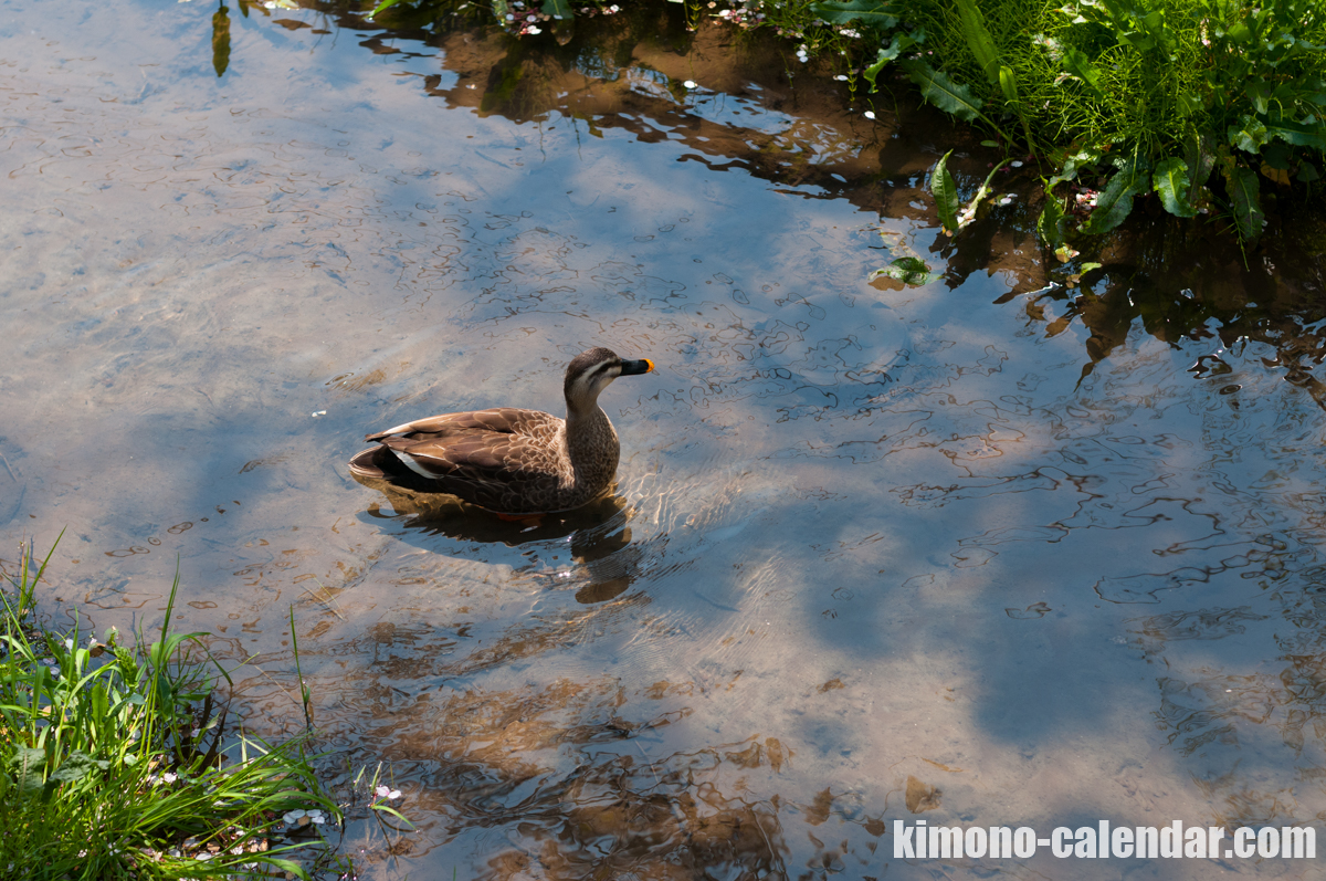 20160412121603300 4003