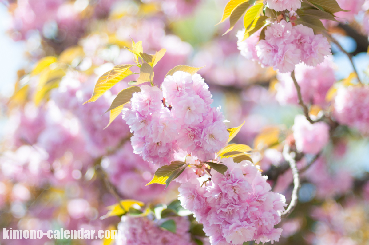 20160419111543300 4963