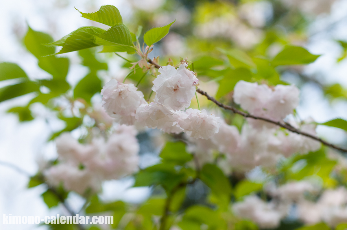 20160420134102300 5111