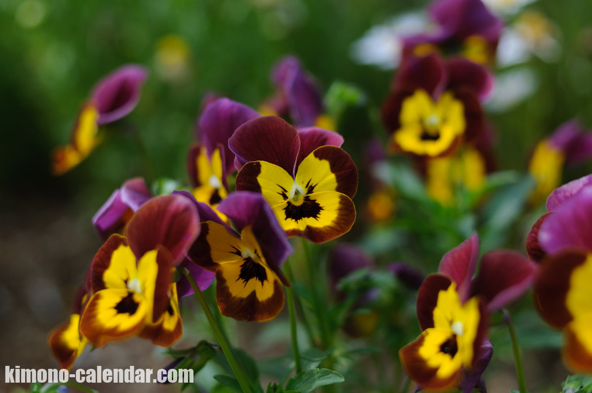 20160427142019300 6038