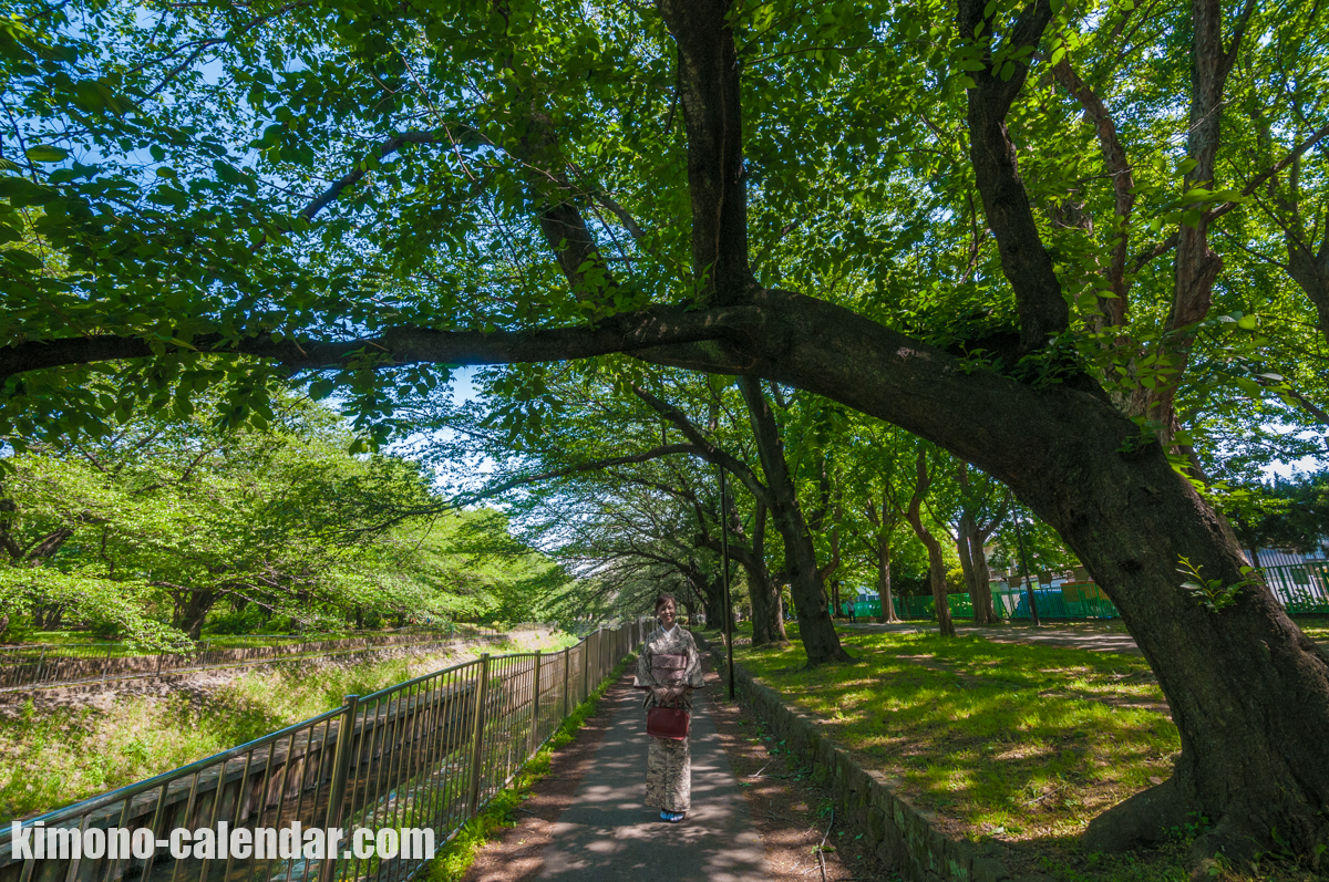 20160430093151300 6493