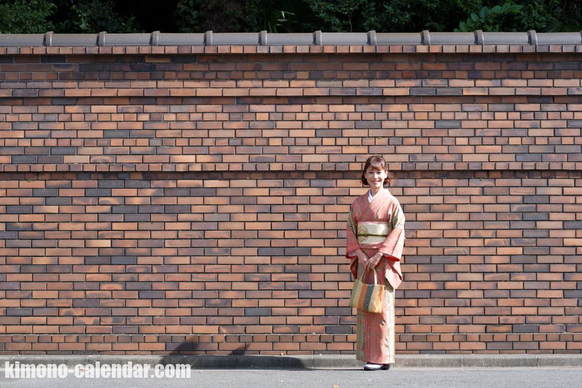 袷 小紋 正絹 名古屋帯