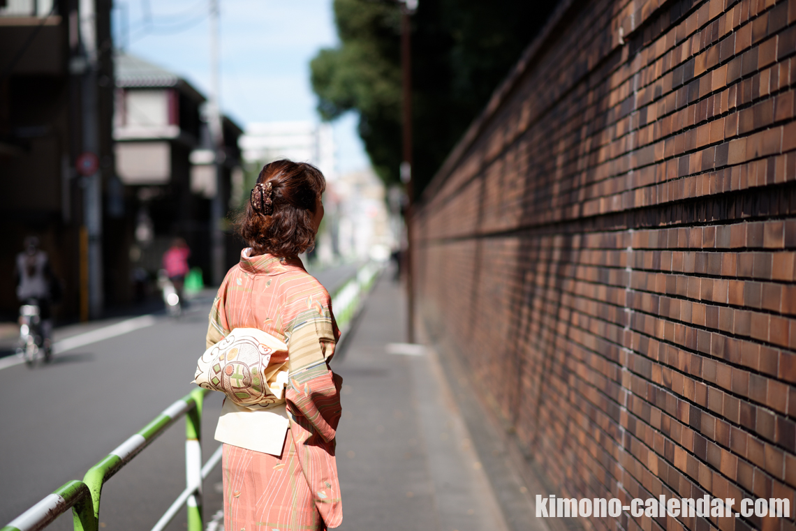袷 小紋 正絹 名古屋帯