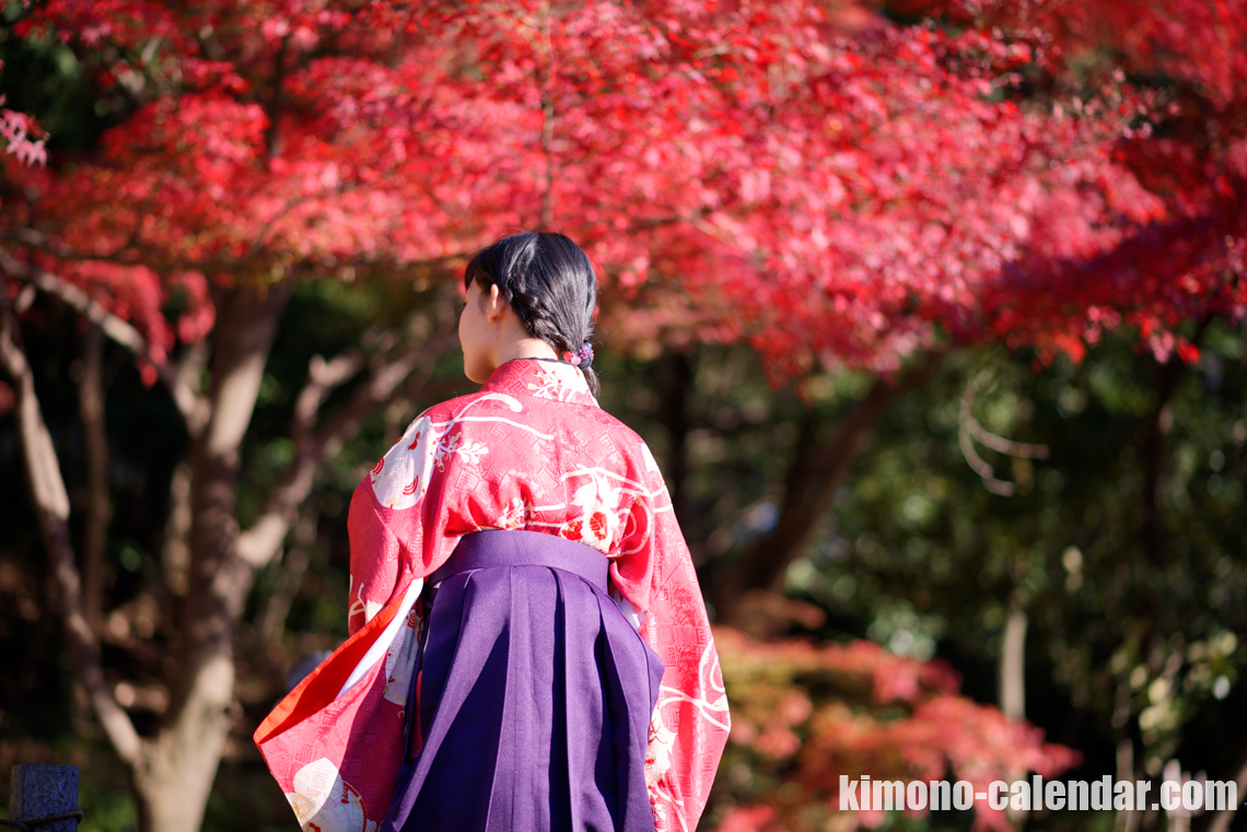 2016年11月29日@新江戸川公園