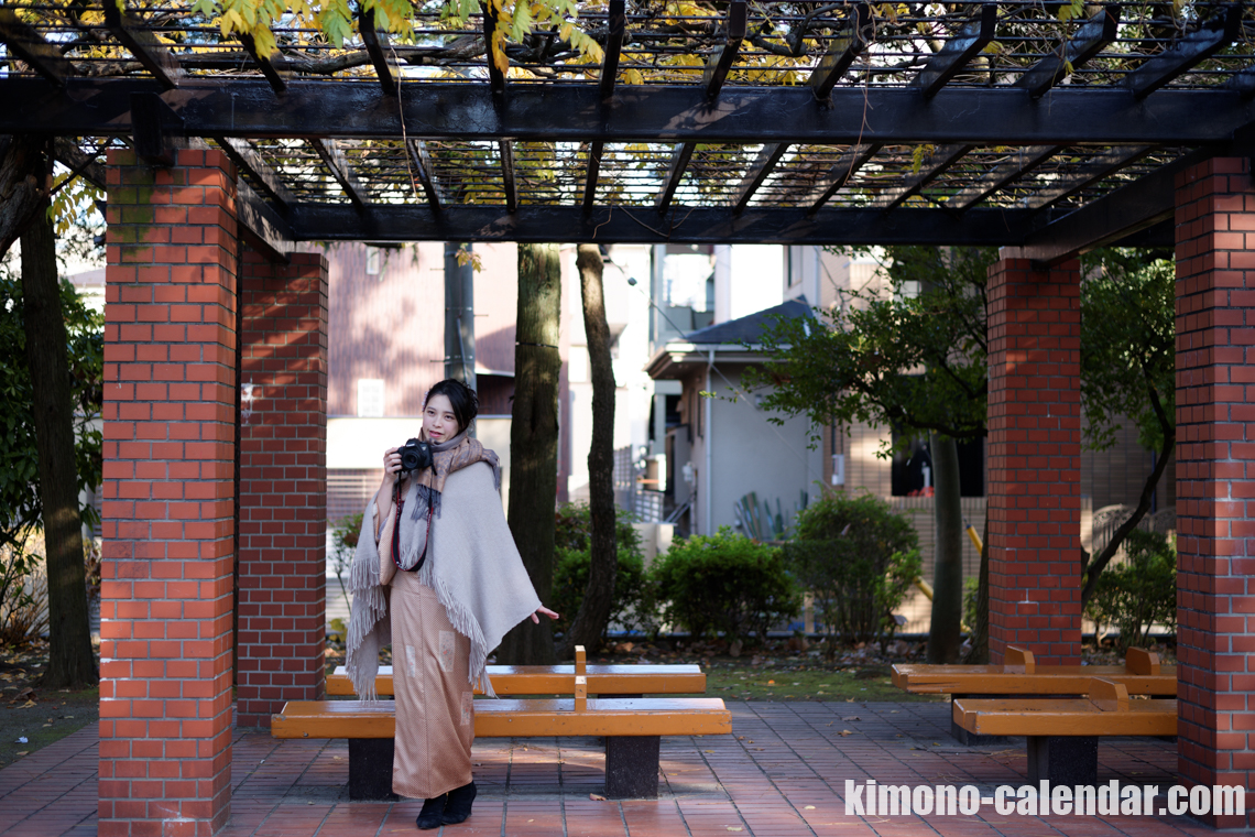 小紋 袷 正絹 半幅帯 茶色