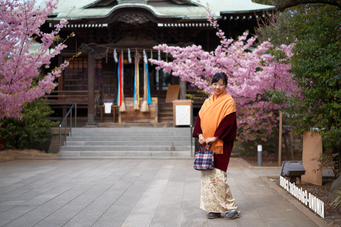2017年2月27日@桜神宮