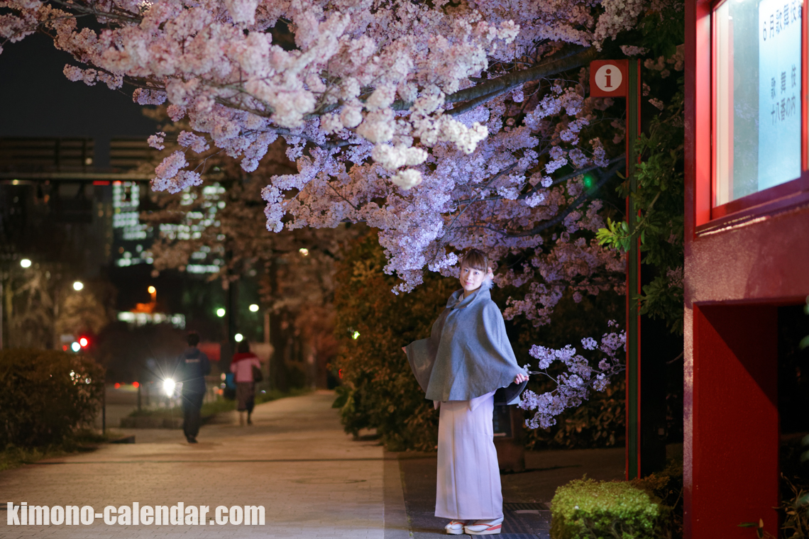 2017年4月4日@千鳥ヶ淵にて着物で夜桜の花見