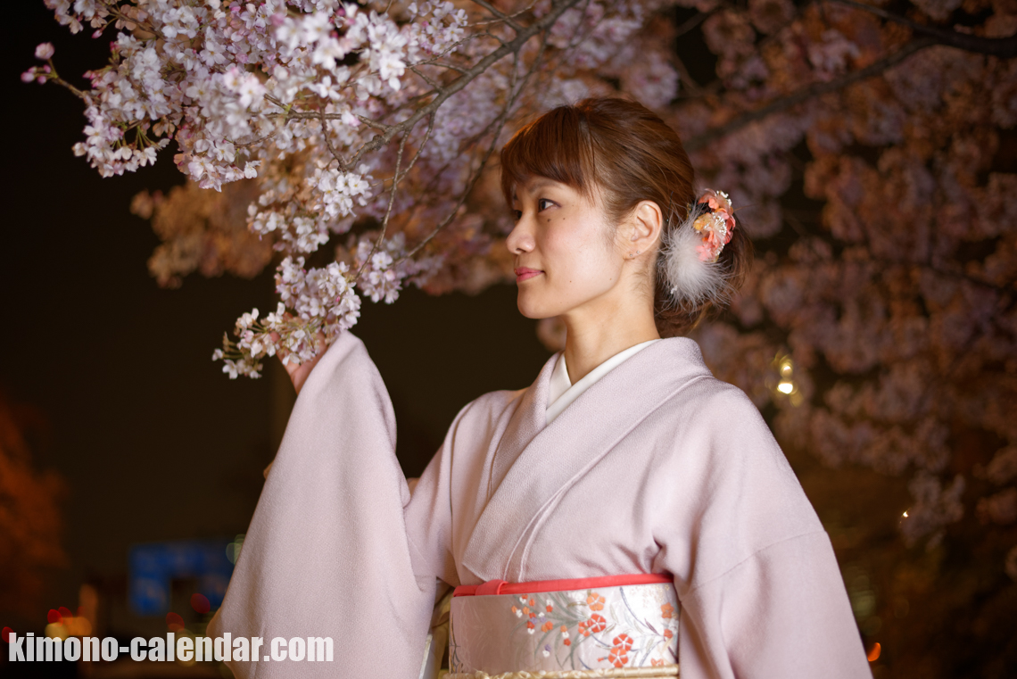 2017年4月4日@千鳥ヶ淵にて着物で夜桜の花見