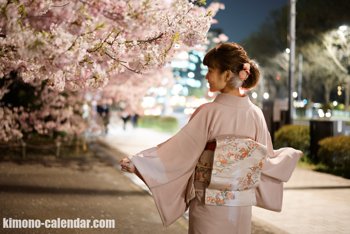 2017年4月4日@千鳥ヶ淵にて着物で夜桜の花見