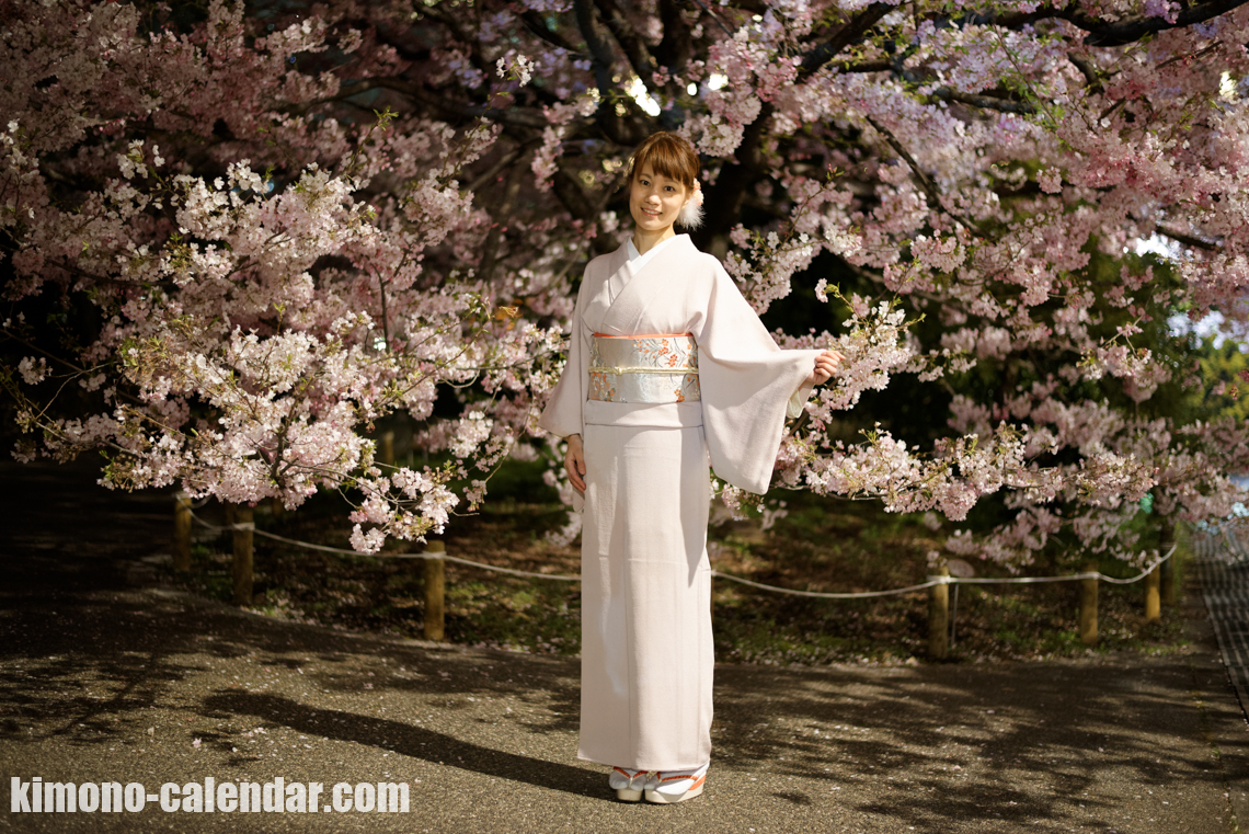 2017年4月4日@千鳥ヶ淵にて着物で夜桜の花見