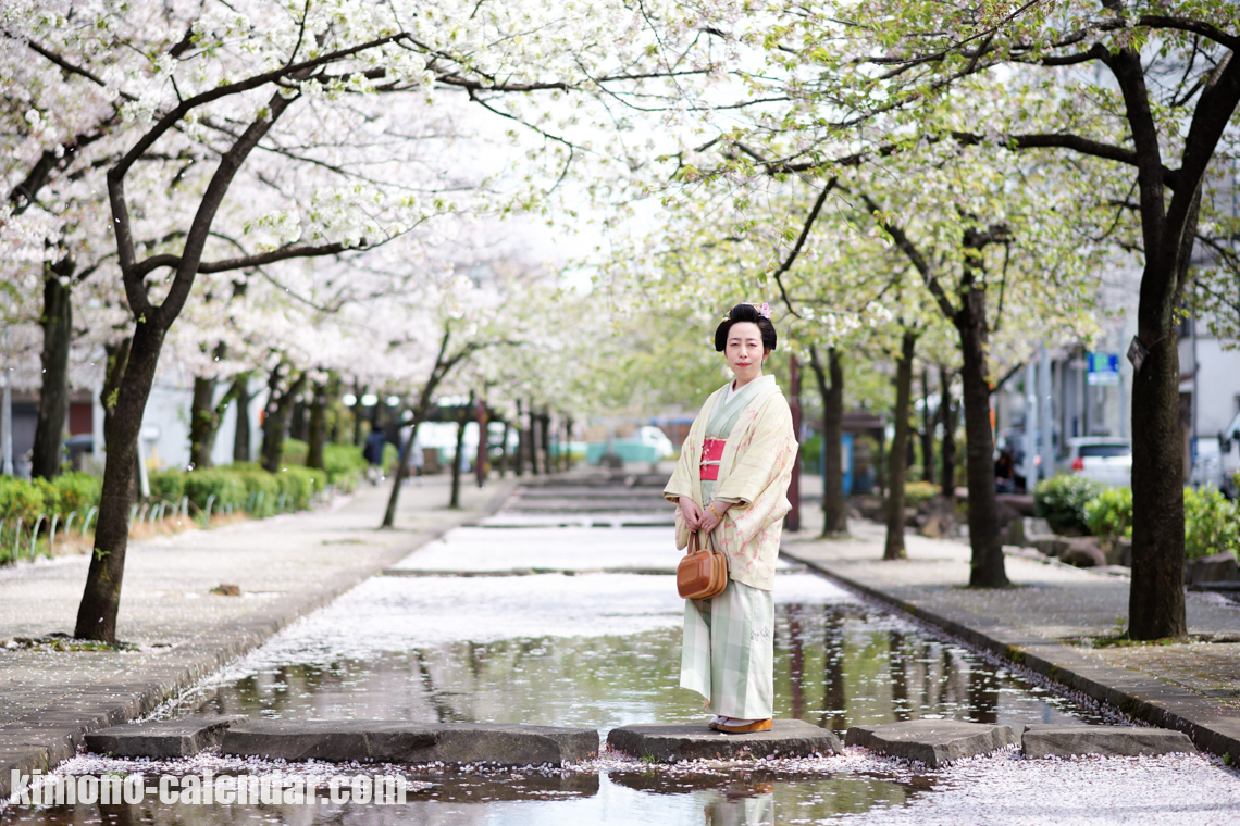 2017年4月12日@浅草 桜並木に着物を着た日本髪(布天神 きれてんじん)の女性