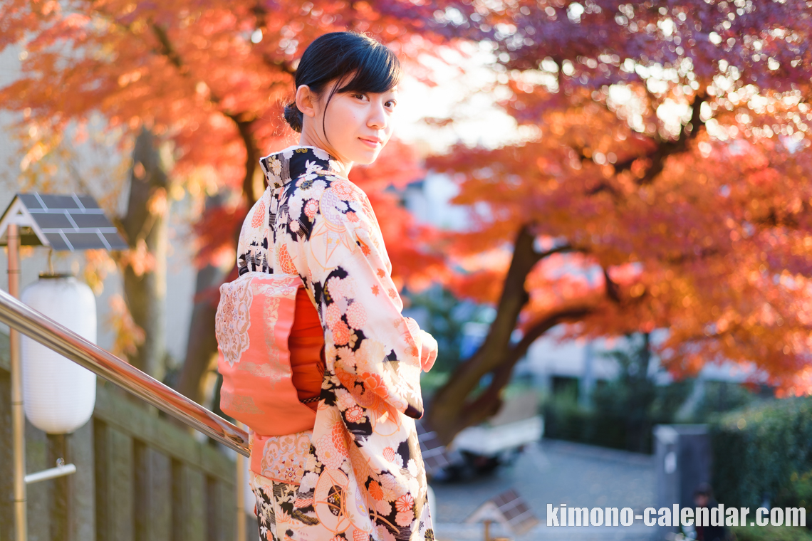 女性の上半身後姿写真