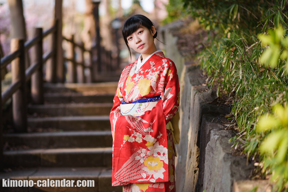 女性の上半身写真