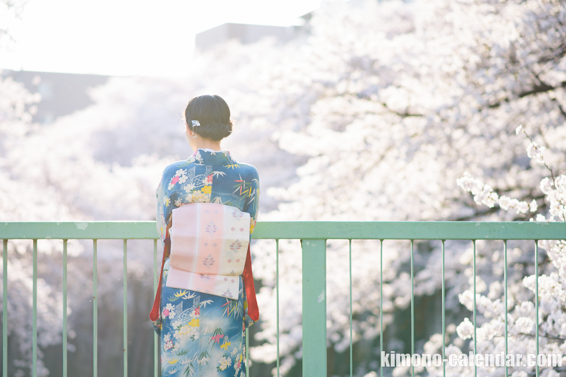 女性の上半身後姿写真 神田川の桜