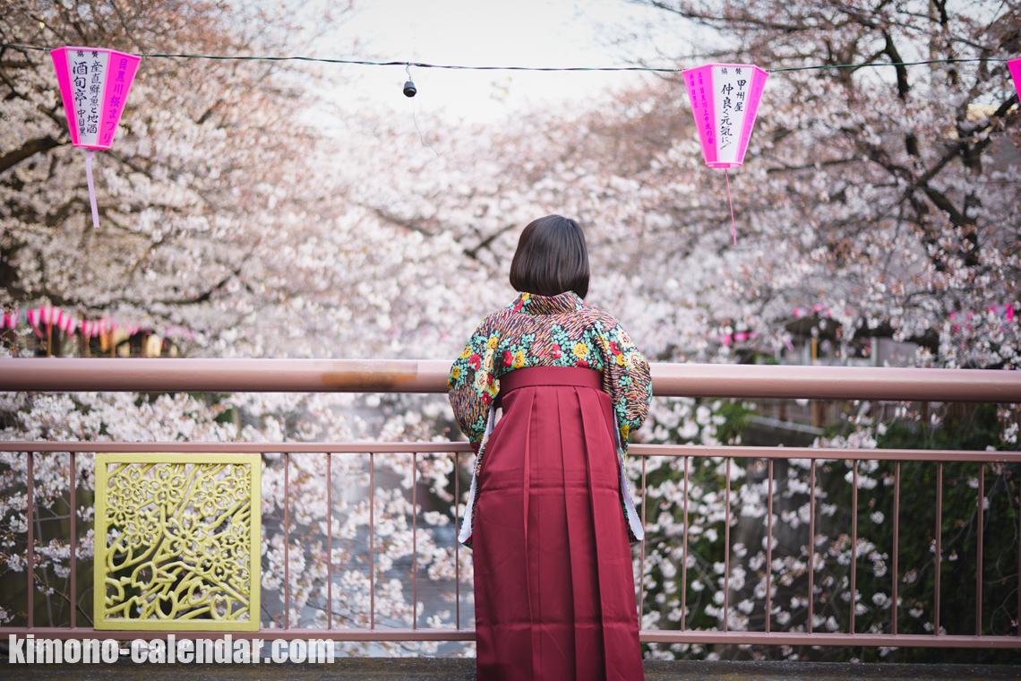 女性の上半身後姿写真