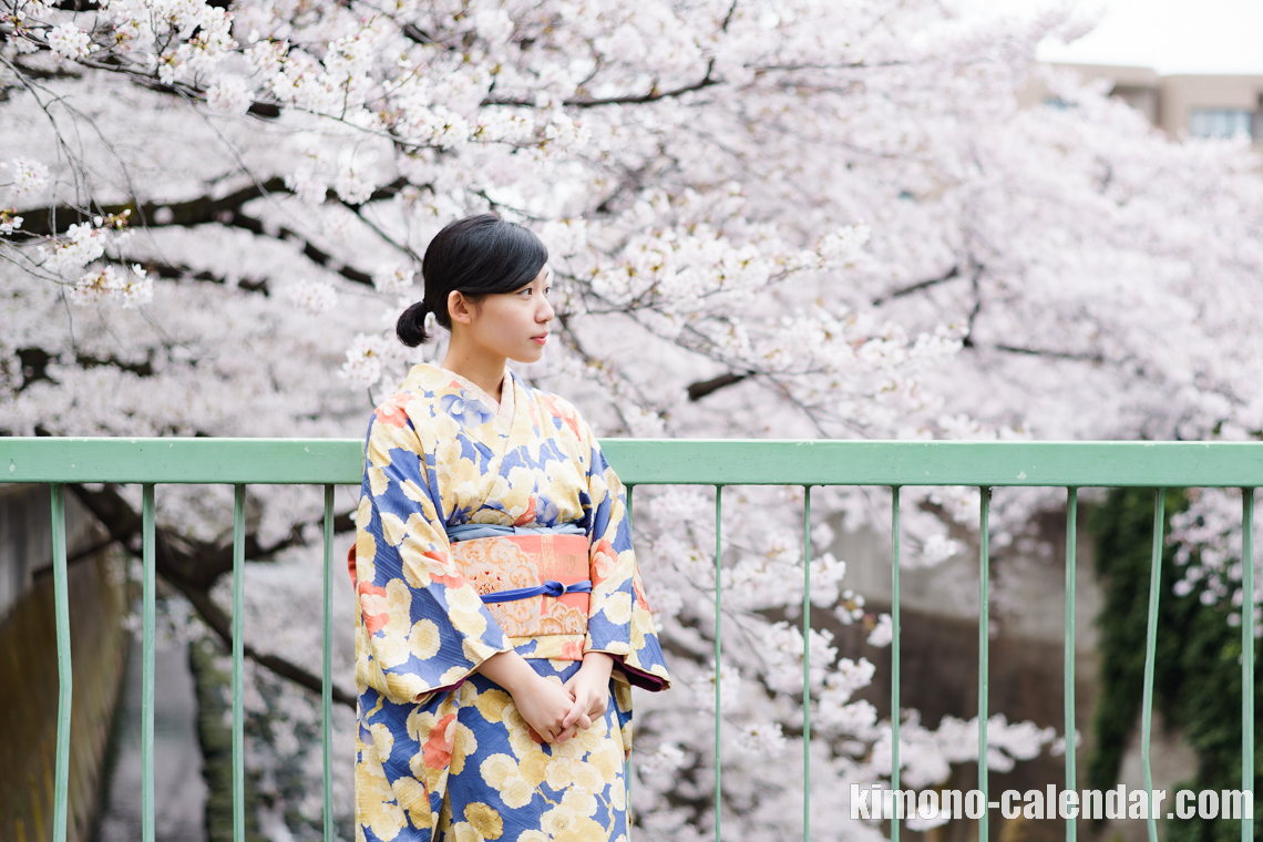 女性の上半身写真