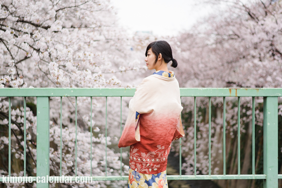 女性の上半身後姿写真