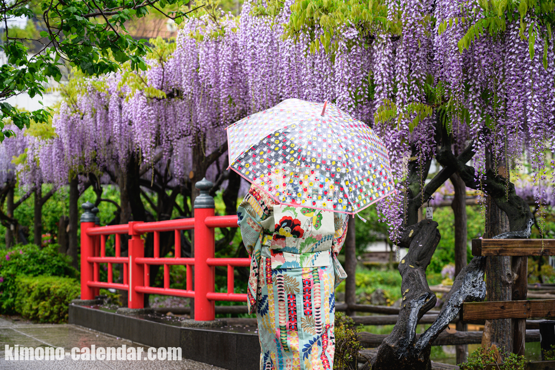 女性の上半身後姿写真