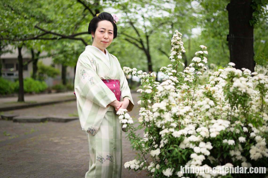 女性の上半身写真