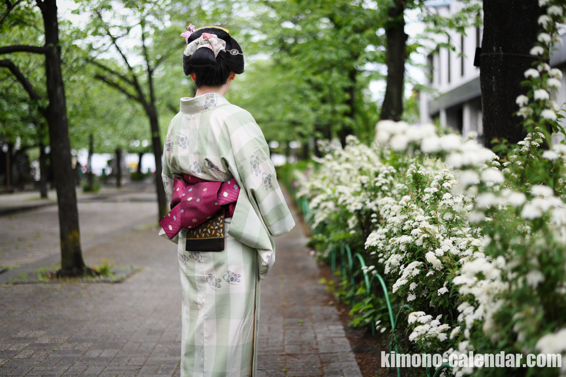 女性の上半身後姿写真