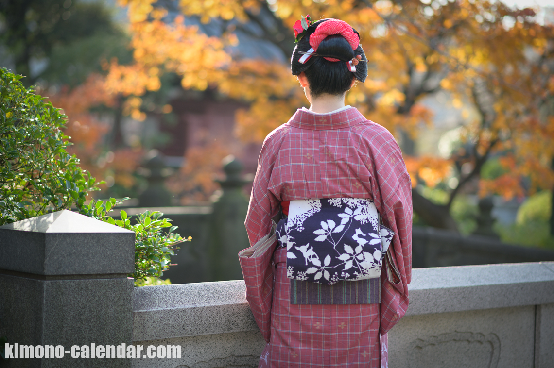 女性の上半身後姿写真