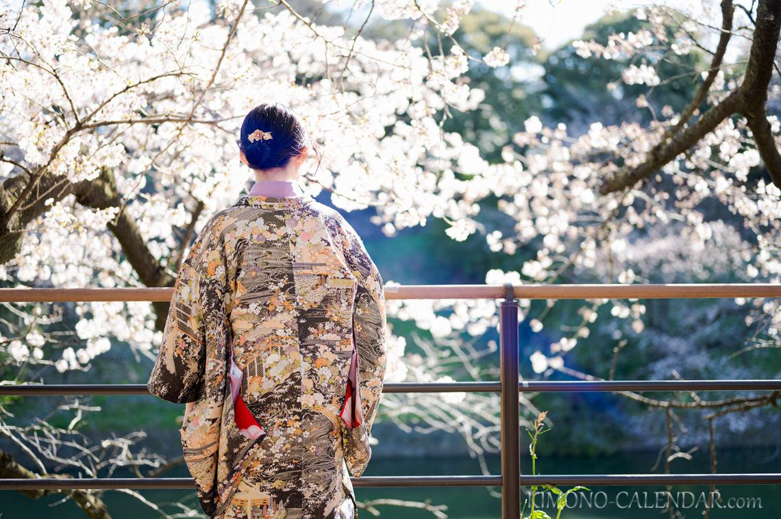 女性の上半身後姿写真=(