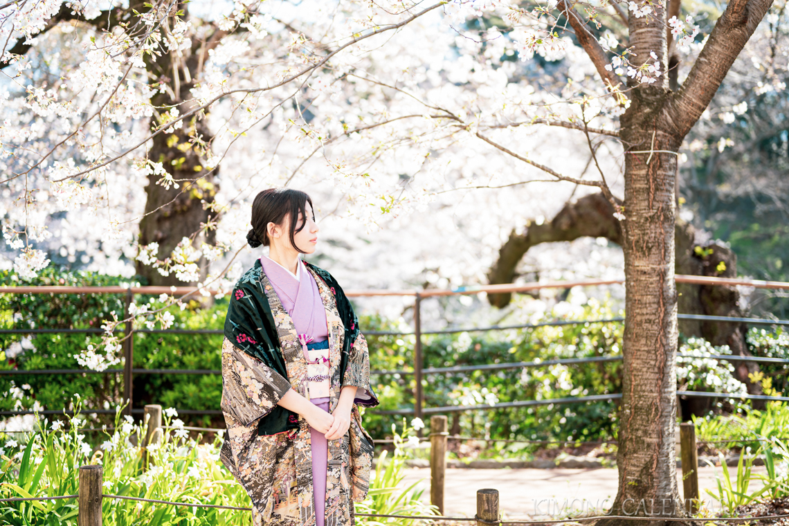 女性の上半身写真