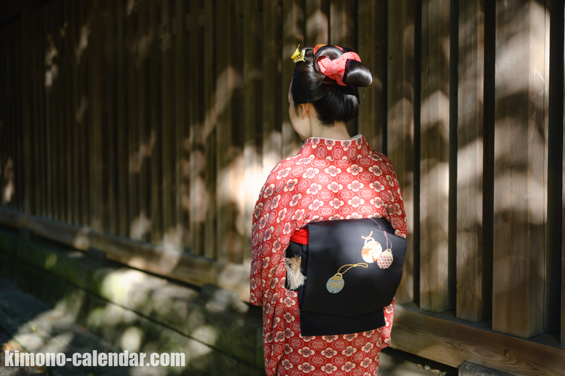 女性の上半身後姿写真