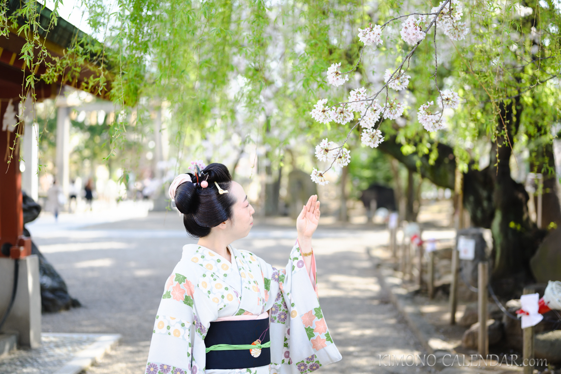 女性の上半身写真