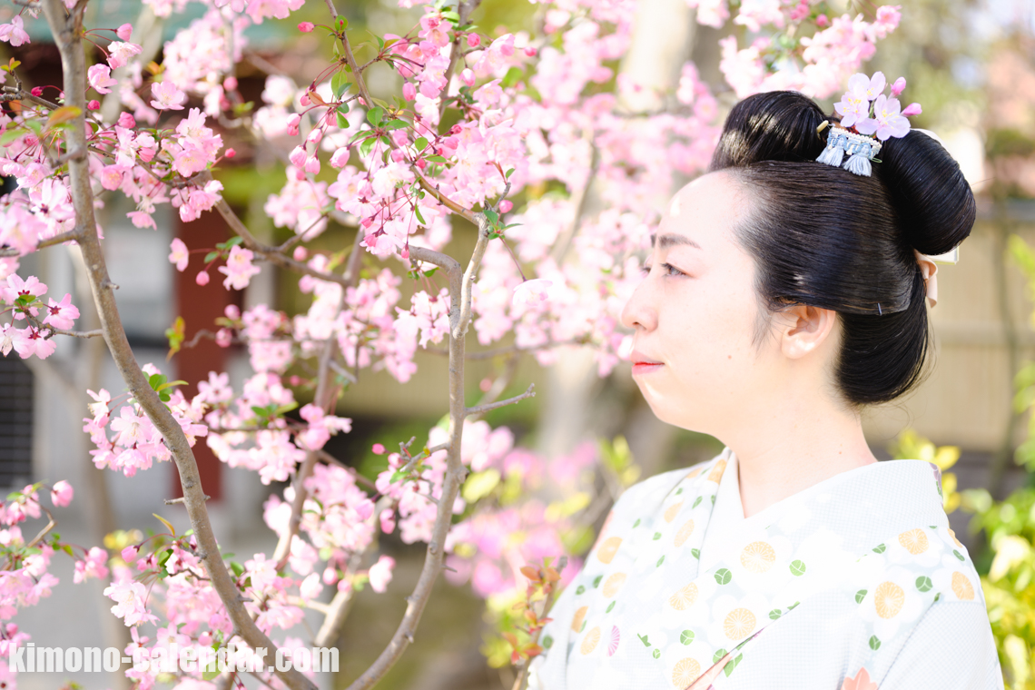 女性の上半身写真