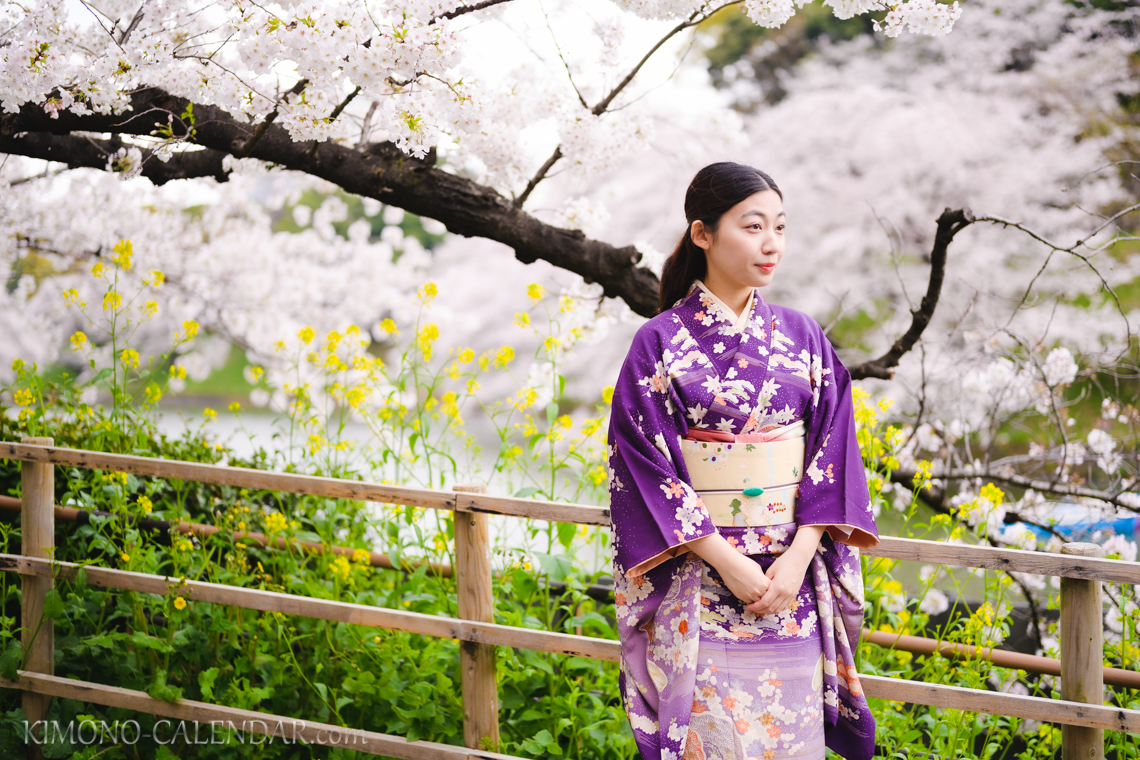 女性の上半身写真