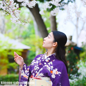 画像をクリックで拡大