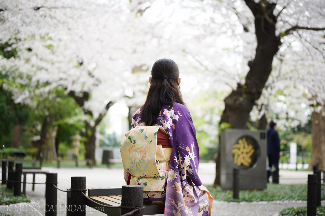 女性の上半身後姿写真