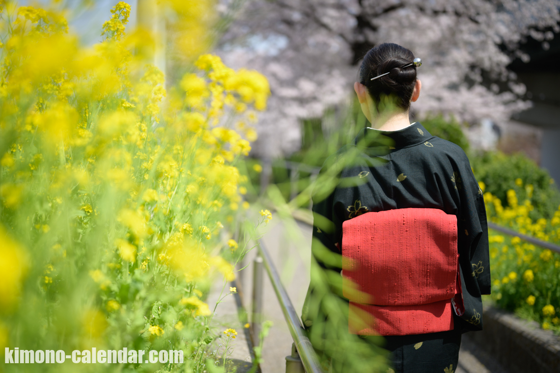 女性の上半身後姿写真