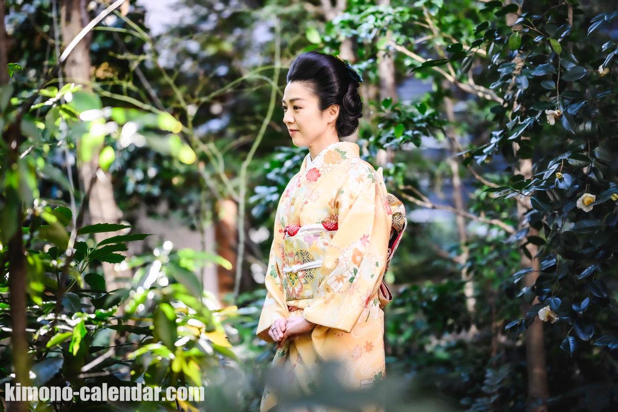 女性の上半身写真