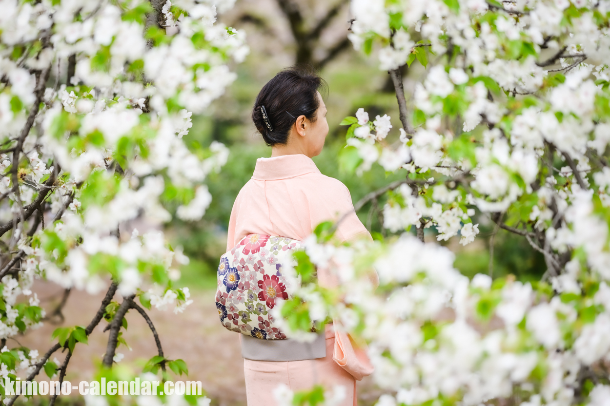 女性の上半身後姿写真