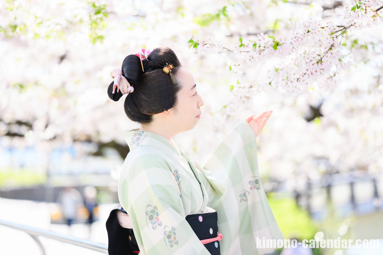 女性の上半身写真