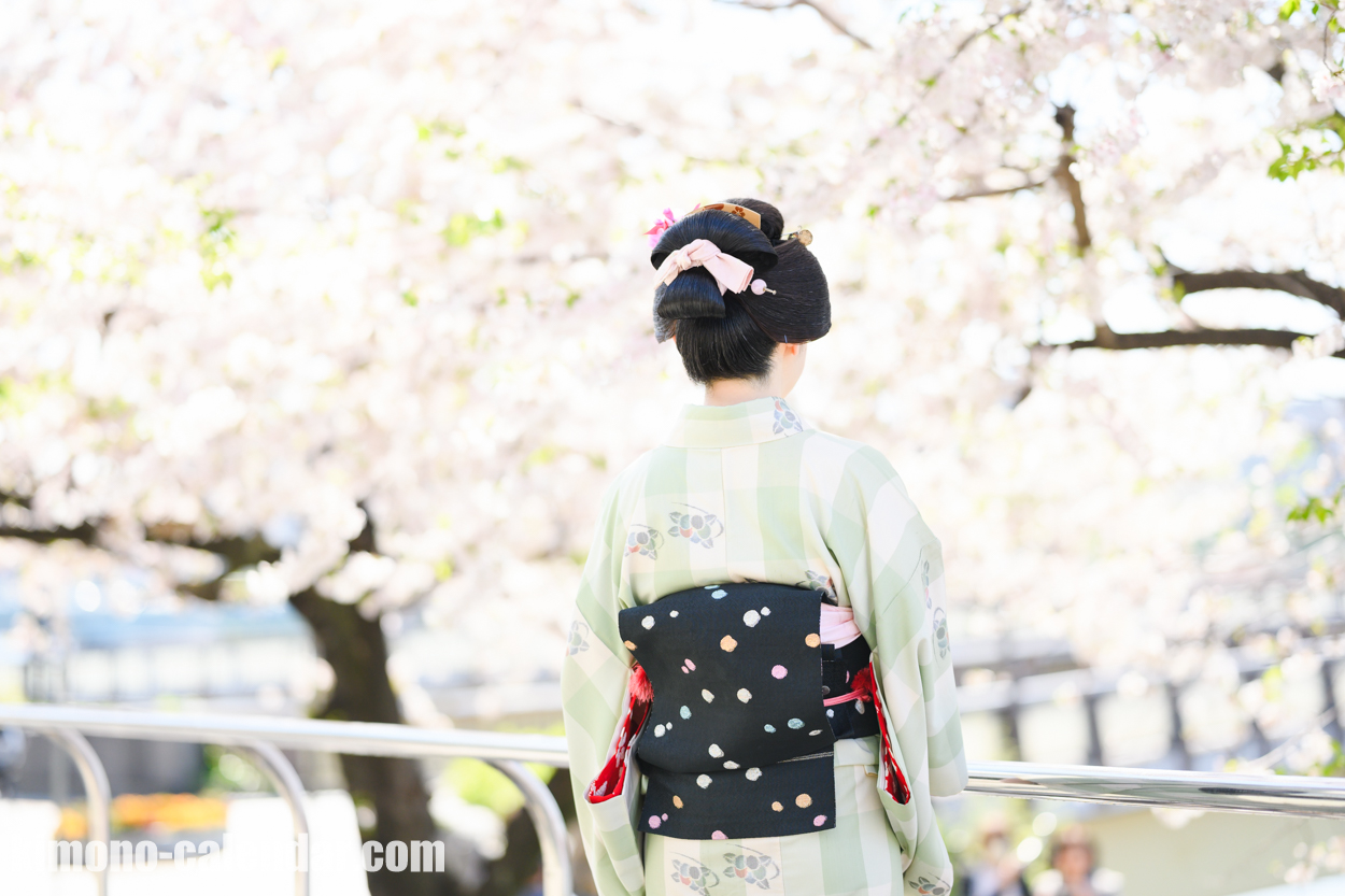 女性の上半身後姿写真