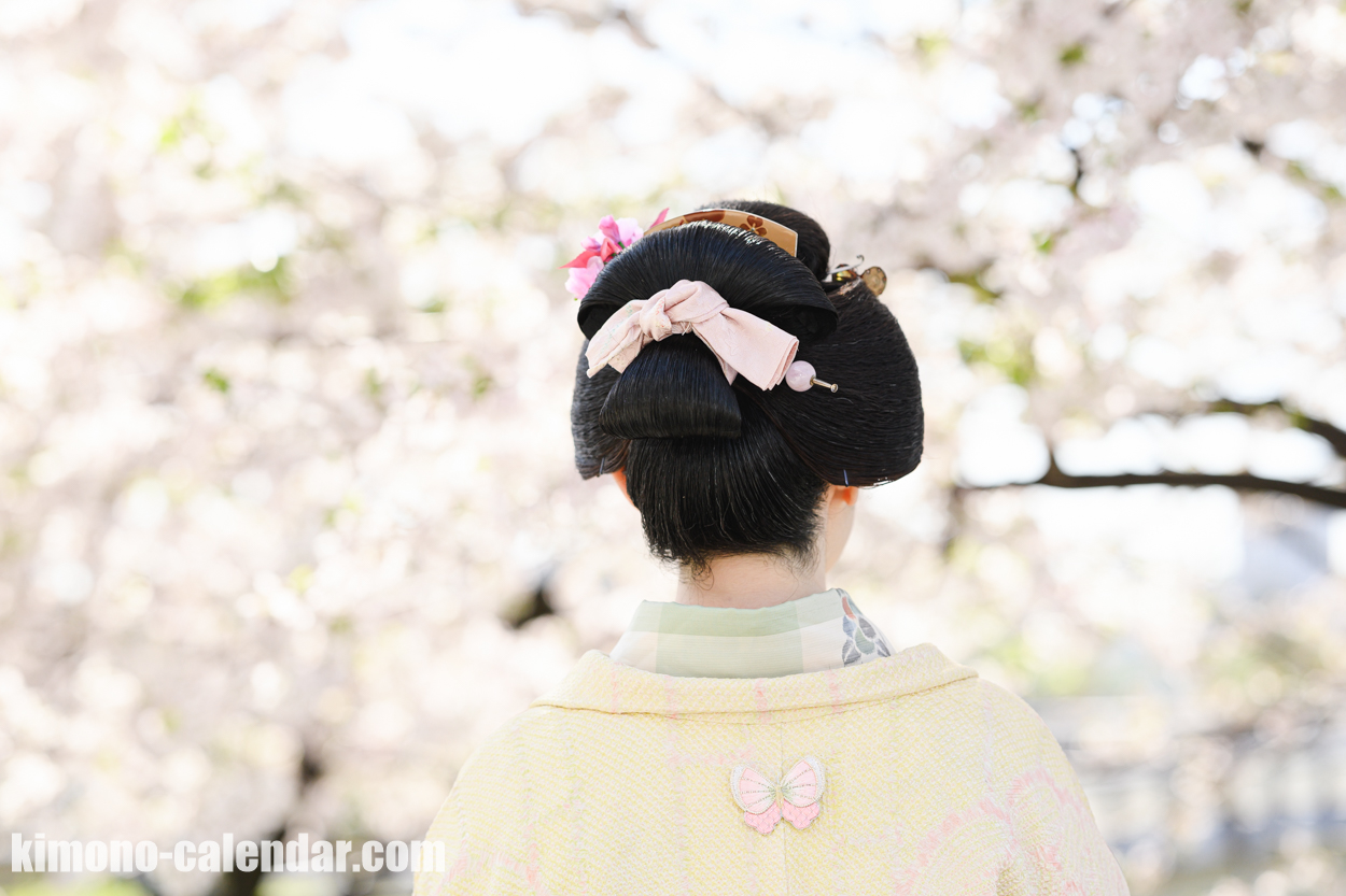 女性の上半身後姿写真